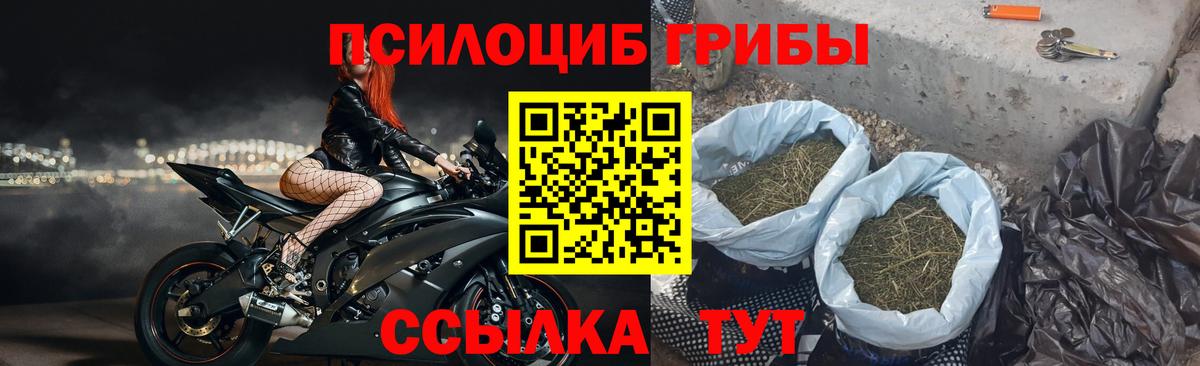 наркошоп  Вход с VPN  Обь  Псилоцибиновые грибы ЛСД  Псилоцибиновые грибы Psilocybine cubensis 